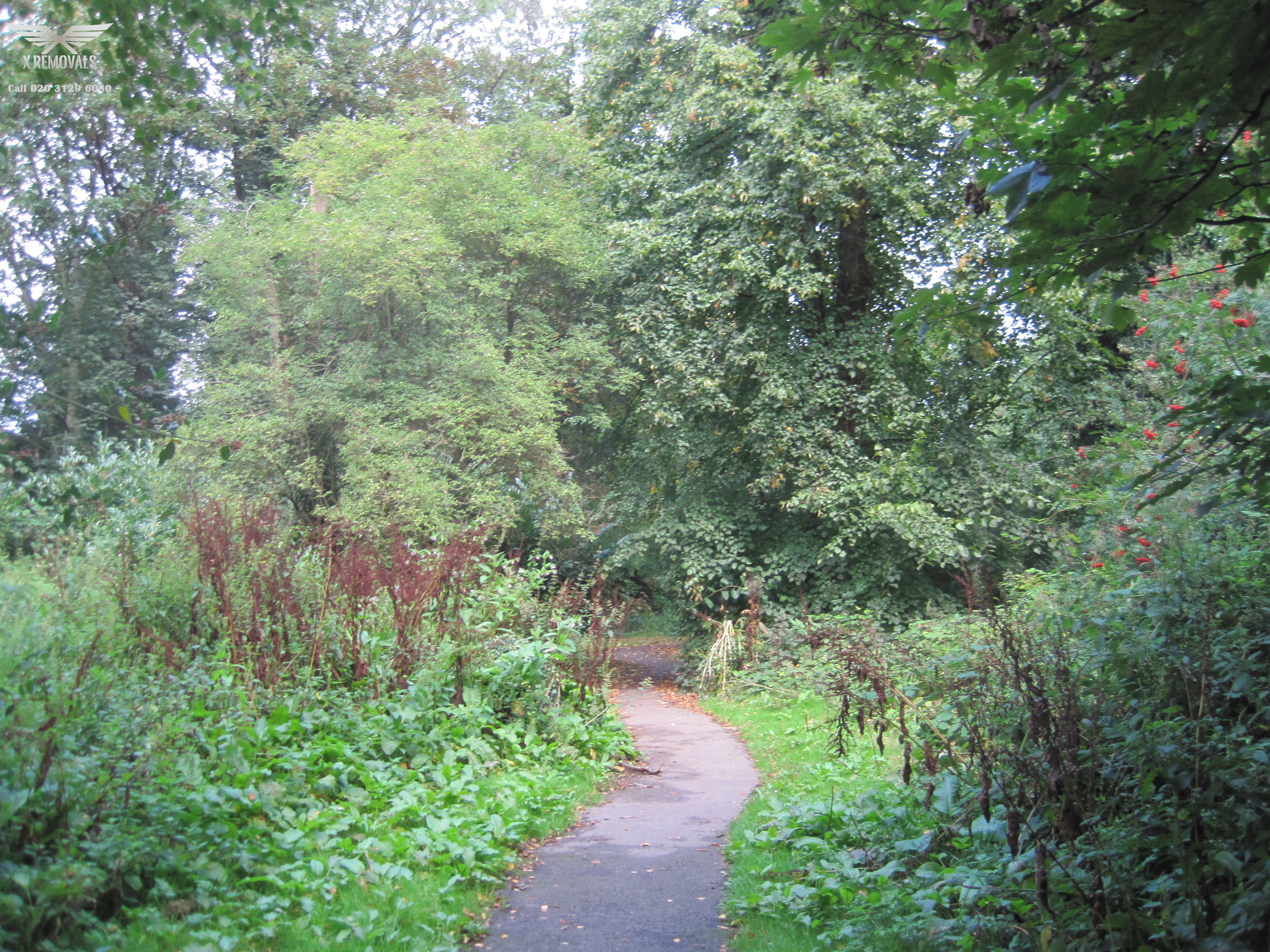 Brent Park NW10 Removal serivce NW10 Brent Park